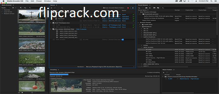 Adobe Media Encoder Crack + Torrent Download
